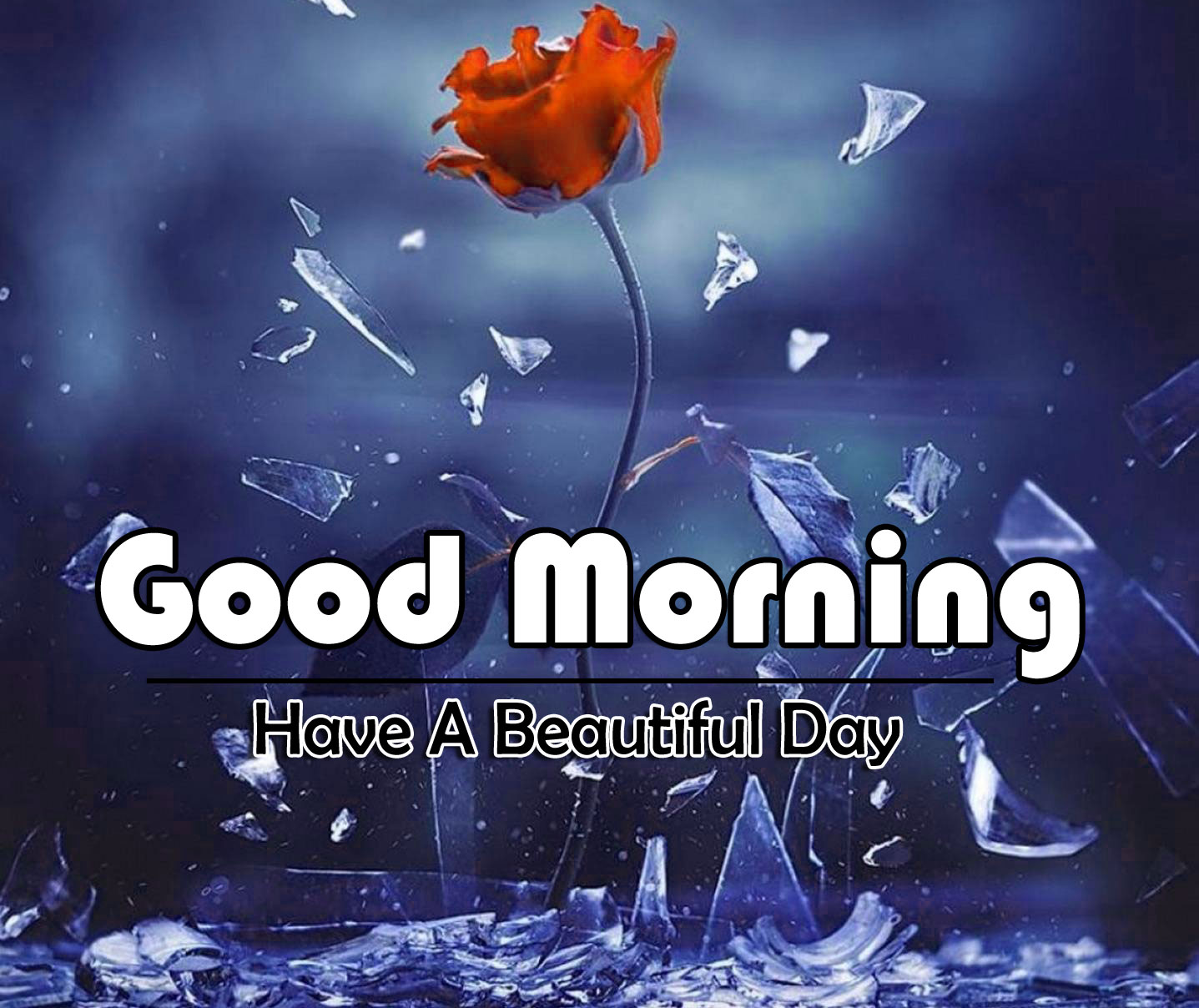 Good Morning Pictures Download Free
