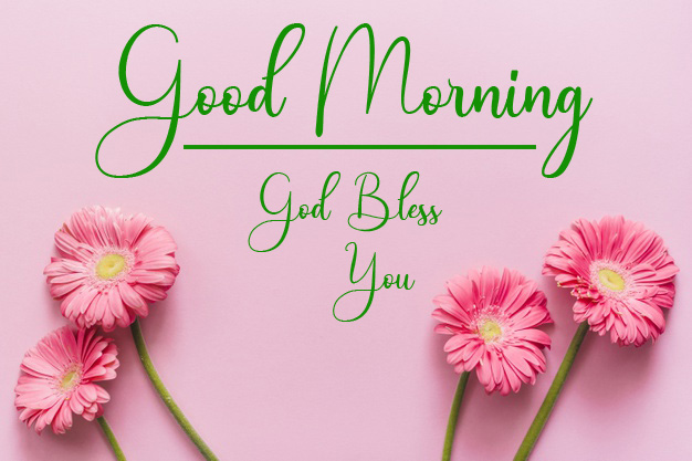Good Morning Pictures Free Download