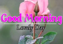 587+ Good Morning Images 4k For Girlfriend / Friend Download