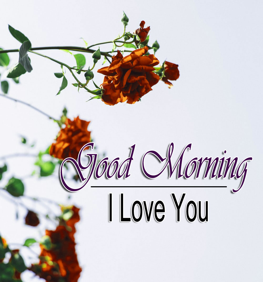 Good Morning Wishes 4k Photo Download 2