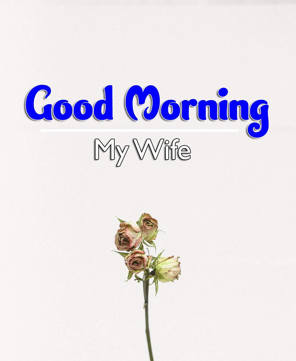 Good Morning Wishes 4k Wallpaper Download