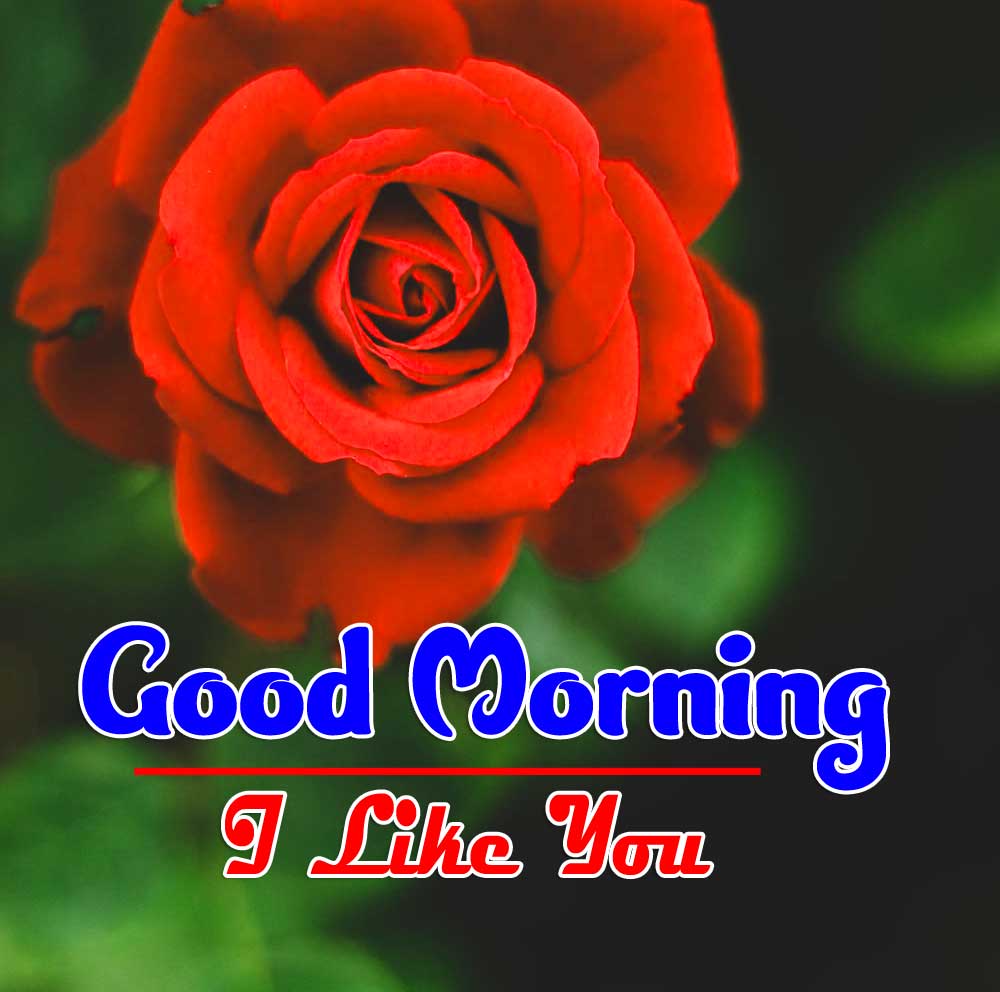 Latest Good Morning Wishes Pics Download