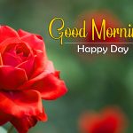 Red Rose Free 4k Ultra HD Good Morning Pics Images Download