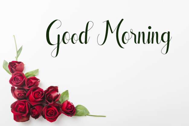 beautiful flower good morning images pictures download 1