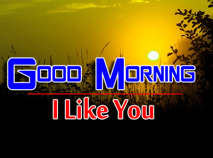 beautiful good morning images photo download