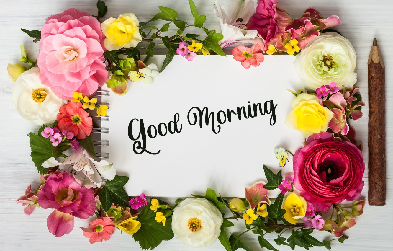 beautiful good morning images photo free download