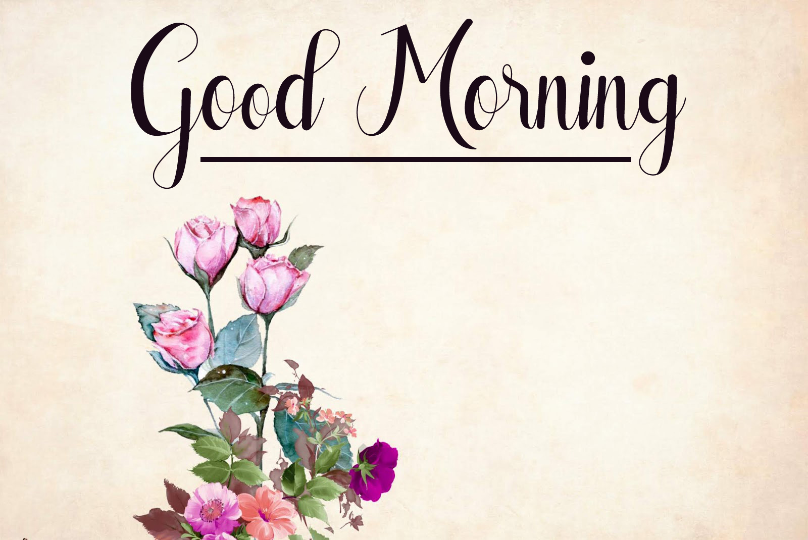 flower good morning images pics photo pictures free download hd