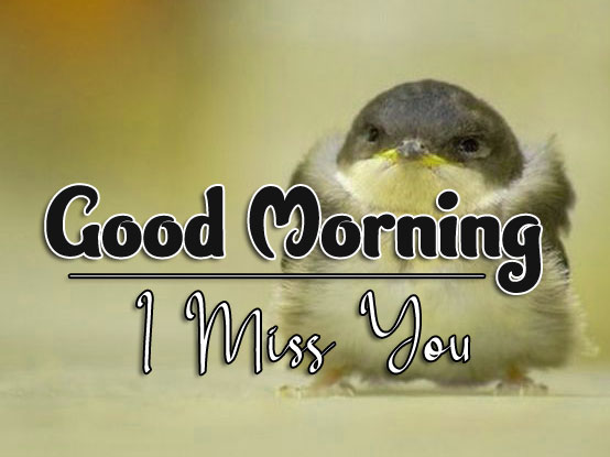good morning images photo free download