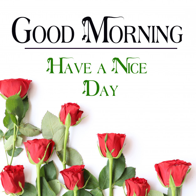 good morning images photo hd download