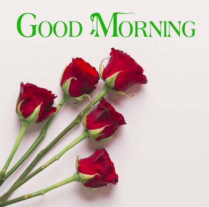 good morning images pics photo download