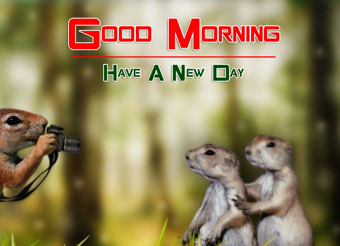 good morning images pictures pics hd download