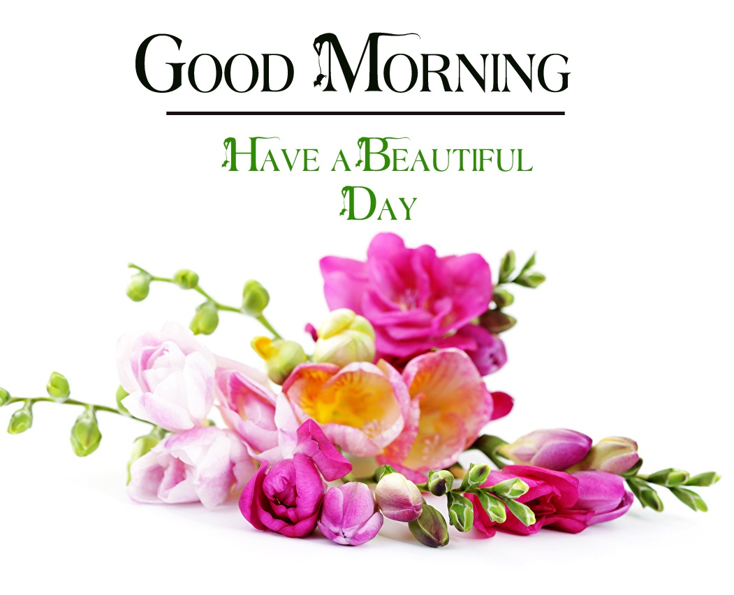 latest good morning images pics free hd download