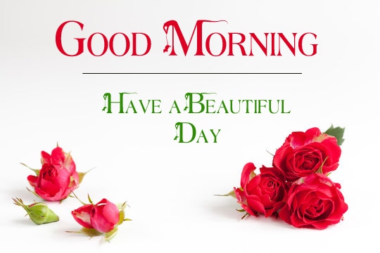 latest good morning images wallpaper download