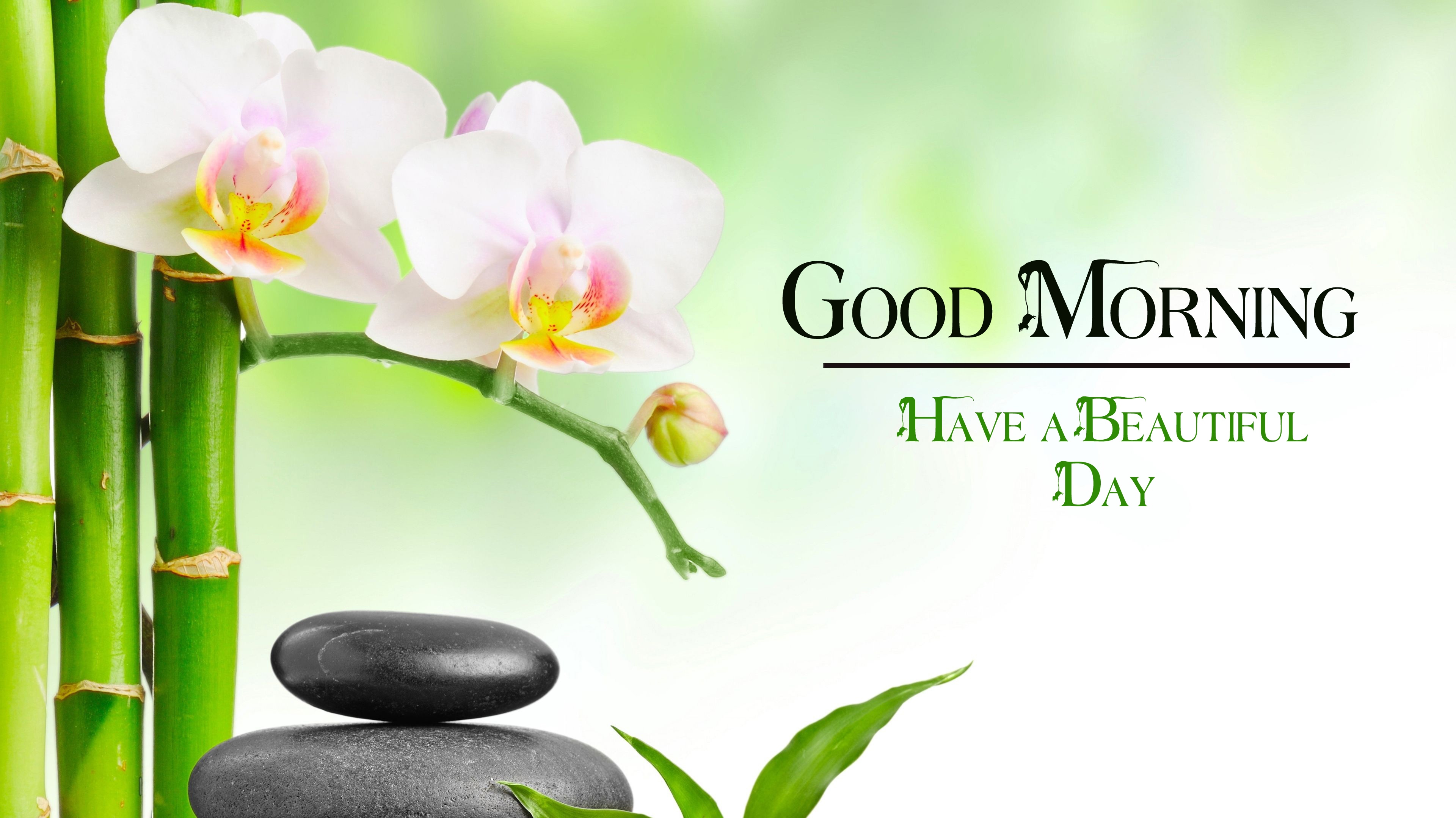 latest good morning images wallpaper free hd