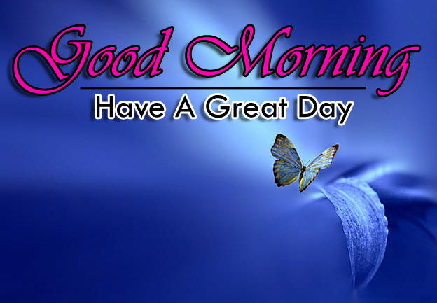 nice butterfly good morning images pics hd download