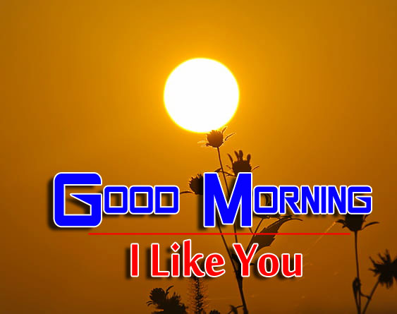 nice good morning images photo download