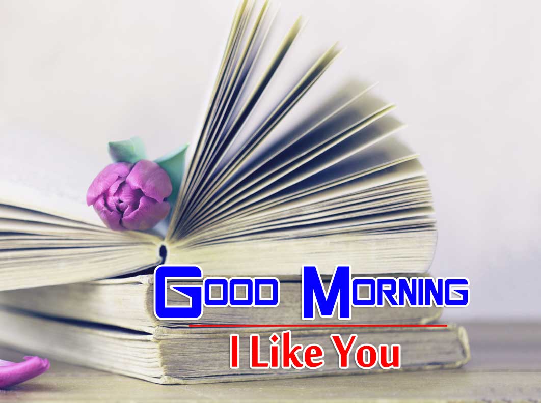 nice good morning images pictures download