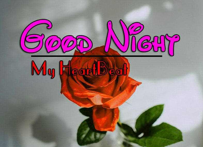 Beautiful Good Night Download Images 1