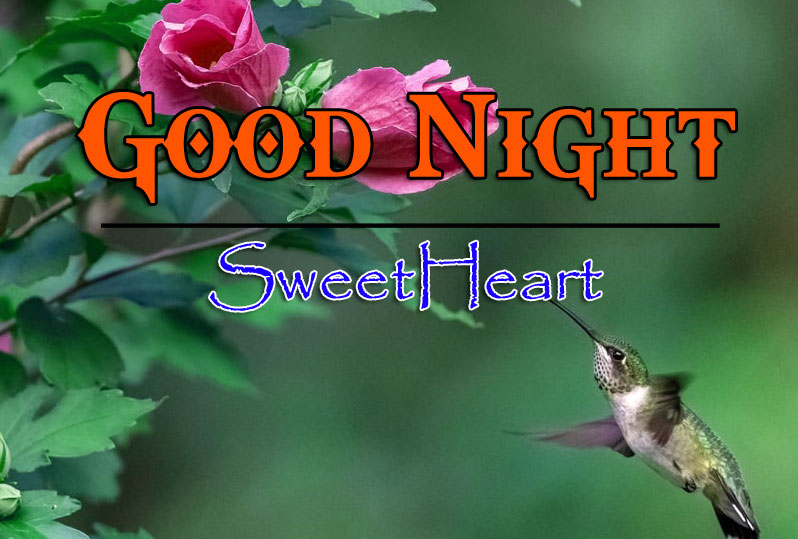 Beautiful Good Night Images Download