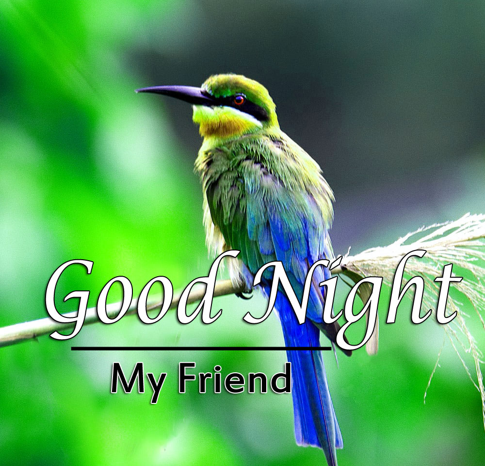 Beautiful Good Night Images Pics 1