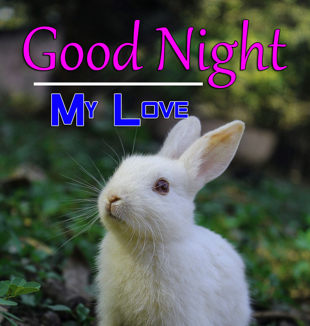 Beautiful Good Night Pics Download