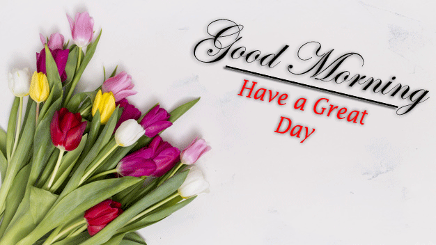 Good Morning Images photo download