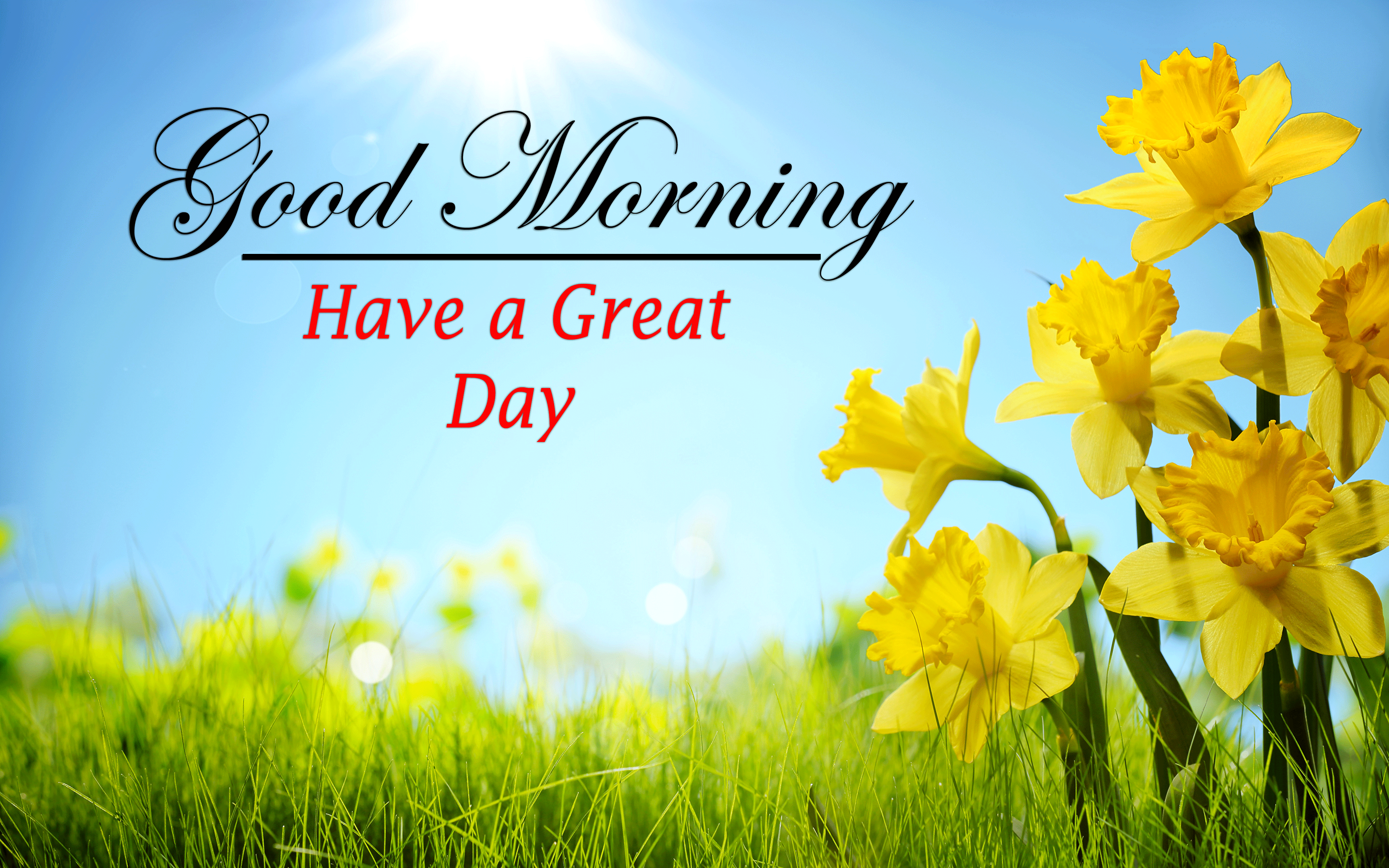 Good Morning Images photo free hd download