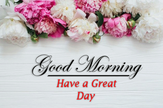 Good Morning Images photo hd download