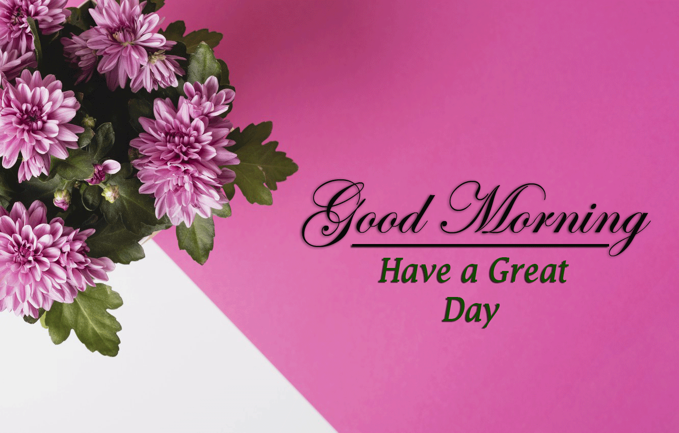 Good Morning Images pics free hd download