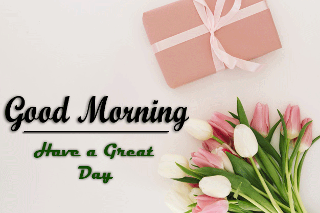 Good Morning Images wallpaper for whatsapp