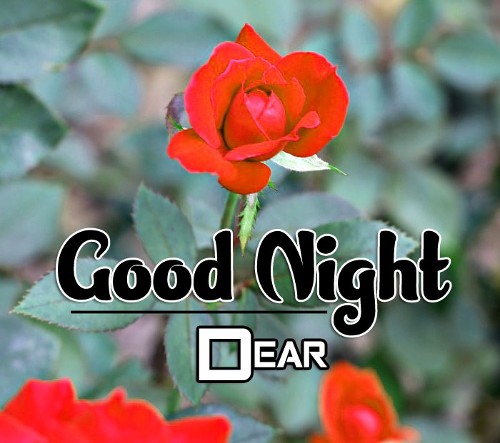 Good Night Wallpaper Download for You and Me