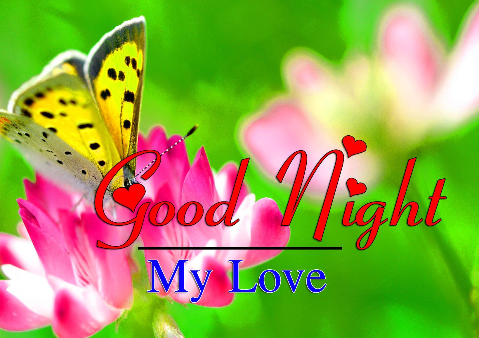 Good Night Pictures Photo