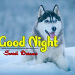 Hd Good Night Pictures Images