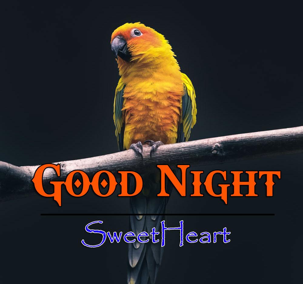 Nice Good Night Images Wallpaper