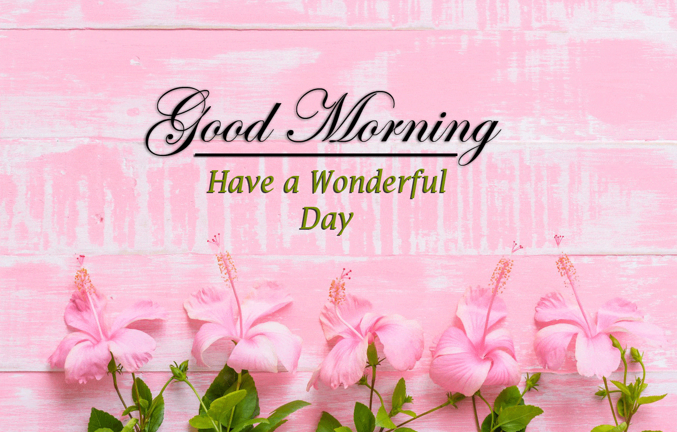 beautiful Good Morning Images photo for download