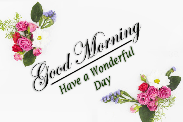 beautiful Good Morning Images photo free download