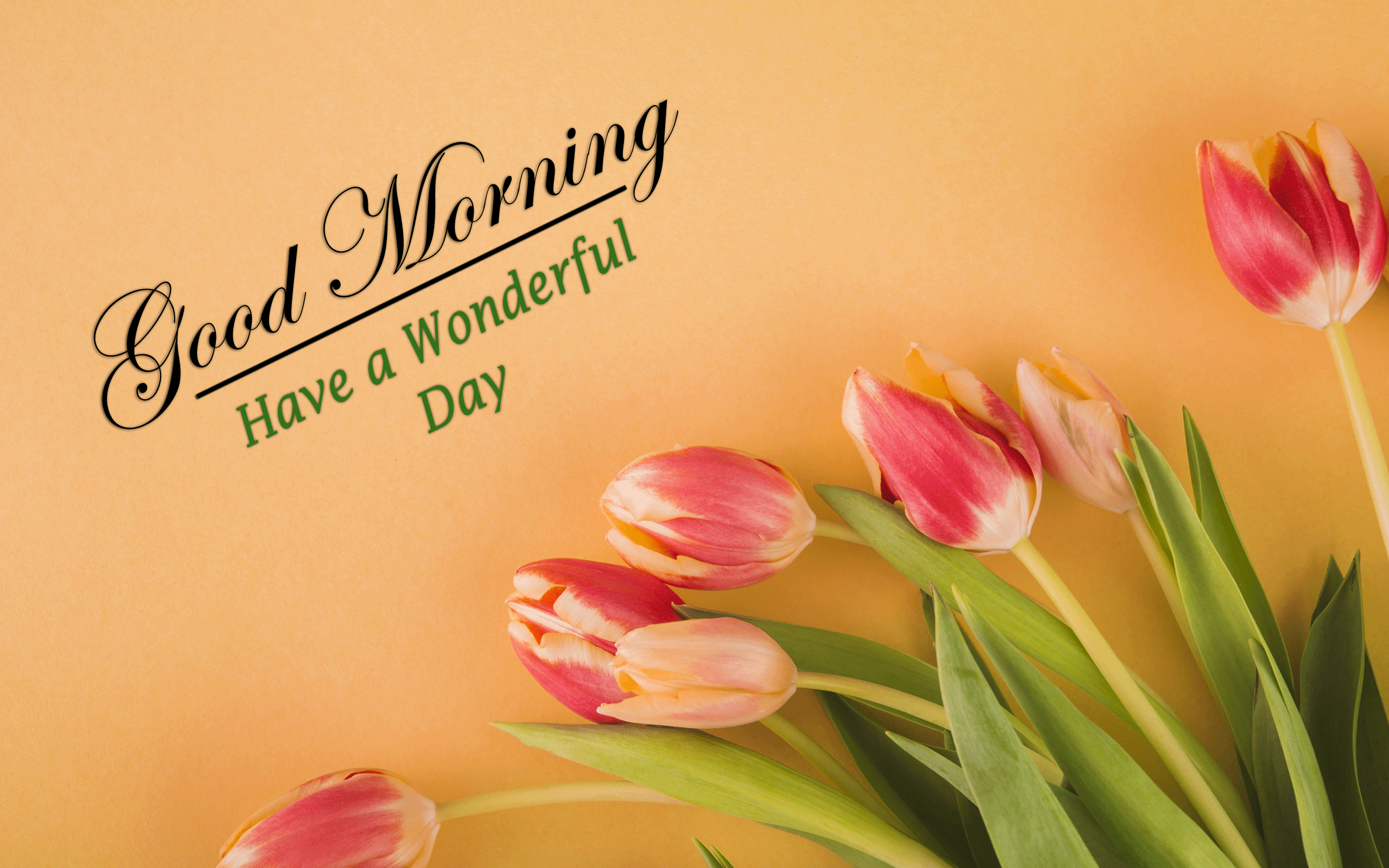 beautiful Good Morning Images photo free hd download