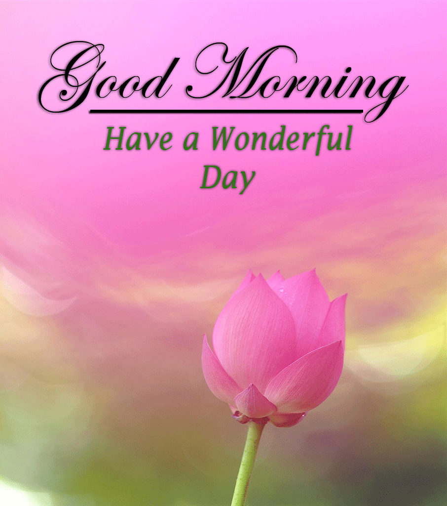 beautiful Good Morning Images photo hd download