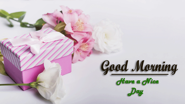 beautiful Good Morning Images photo pictures hd
