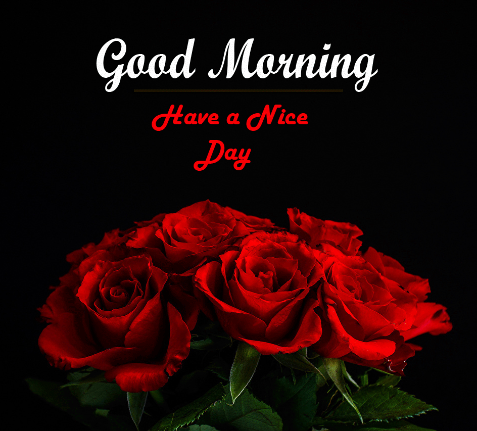 beautiful Good Morning Images pics pictures hd