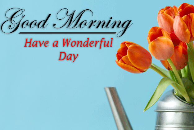 beautiful Good Morning Images pictures free download