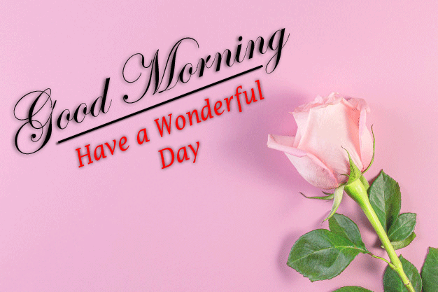beautiful Good Morning Images pictures free hd download