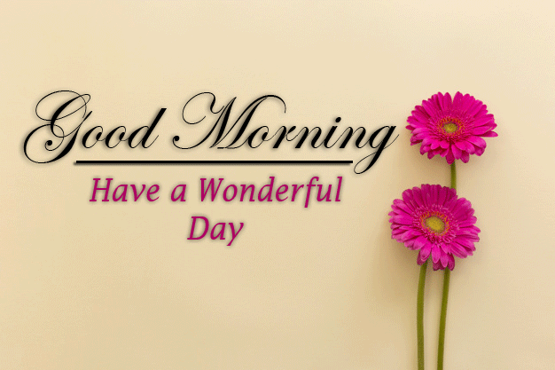 beautiful Good Morning Images pictures hd download