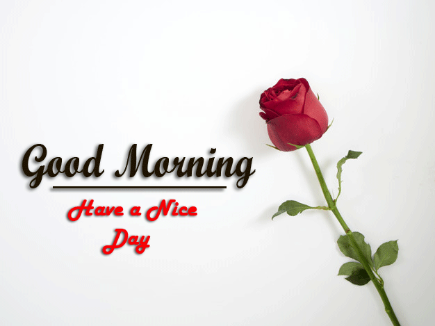 beautiful Good Morning Images pictures pics hd