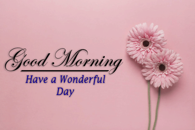 beautiful Good Morning Images wallpaper for download