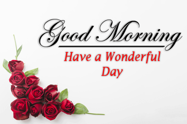 beautiful Good Morning Images wallpaper for whatsapp