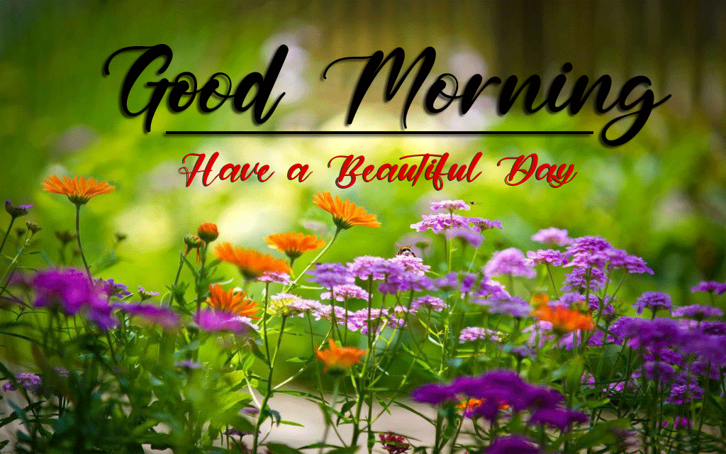 best good morning images photo for hd