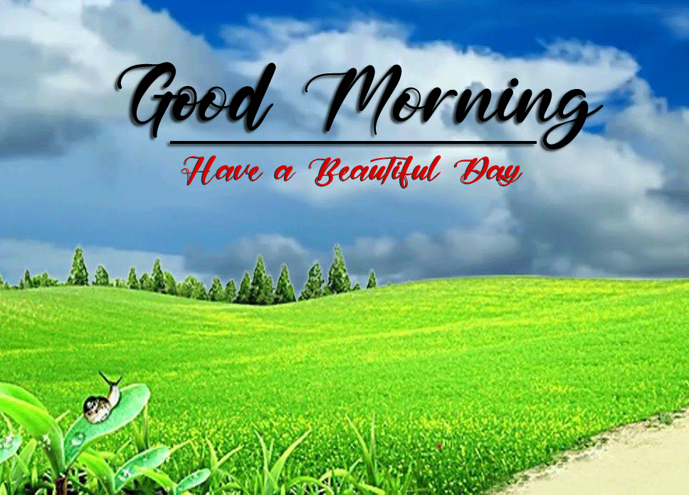 best good morning images pictures free hd