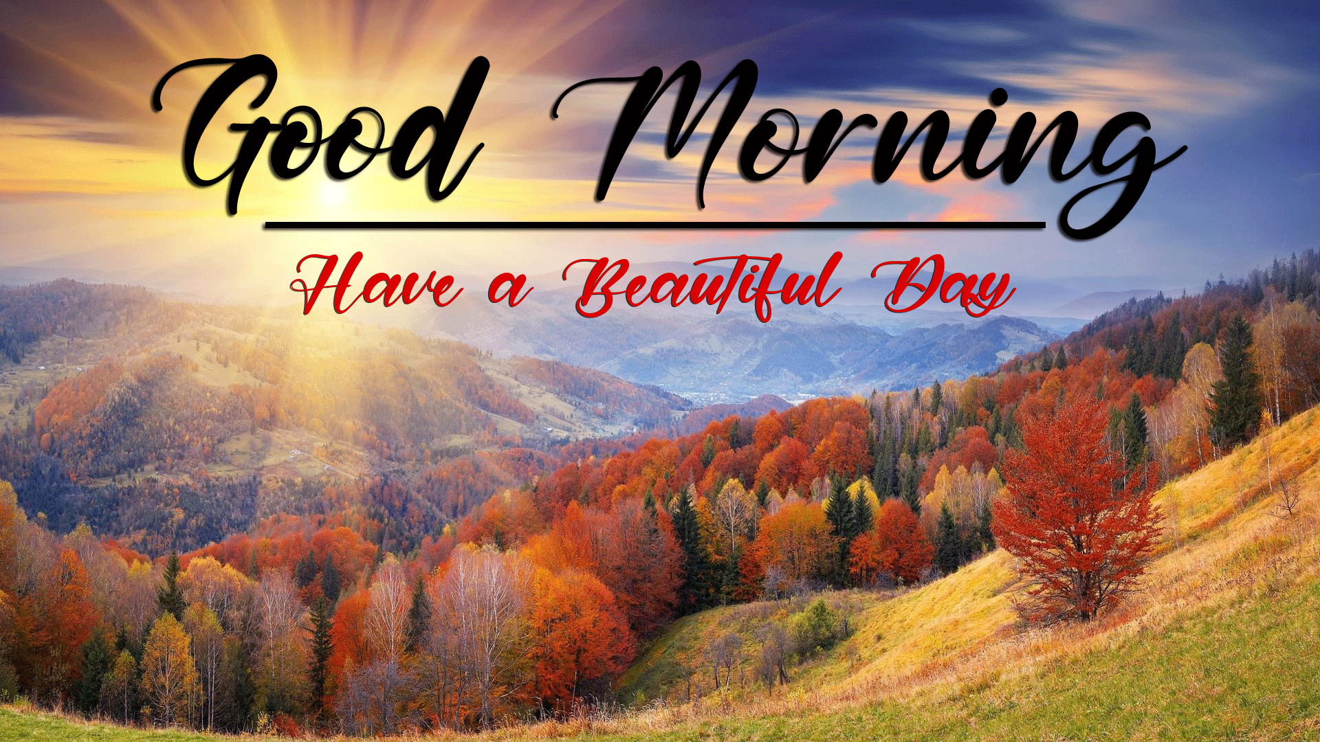 best good morning images pictures hd download free