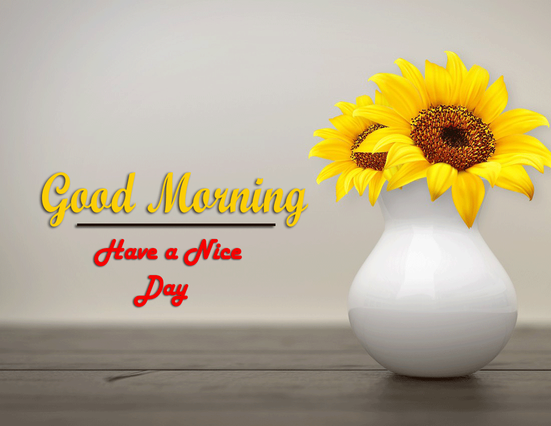 flower Good Morning Images photo free download